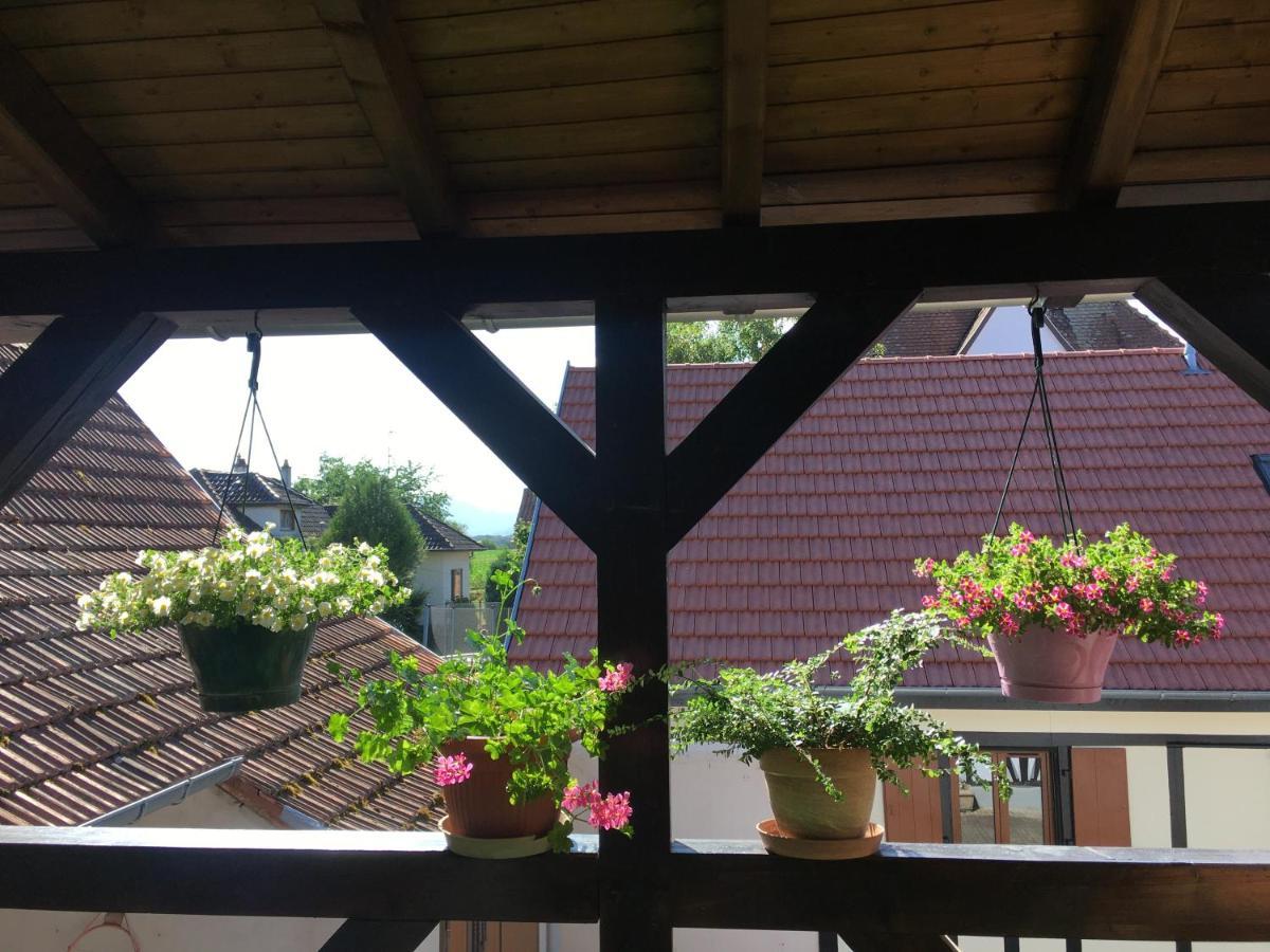 Bienvenue En Alsace Apartment Huttenheim Екстериор снимка