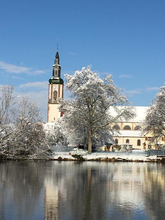 Bienvenue En Alsace Apartment Huttenheim Екстериор снимка