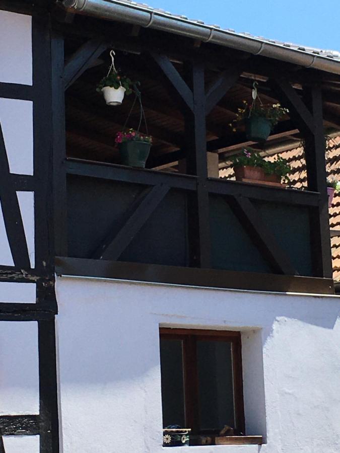Bienvenue En Alsace Apartment Huttenheim Екстериор снимка