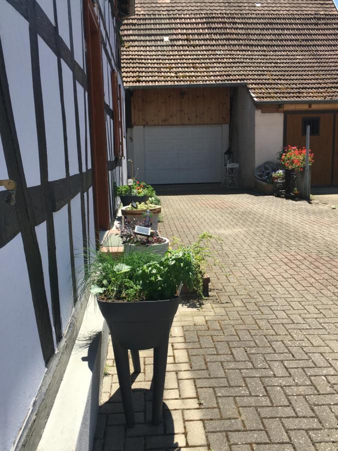 Bienvenue En Alsace Apartment Huttenheim Екстериор снимка