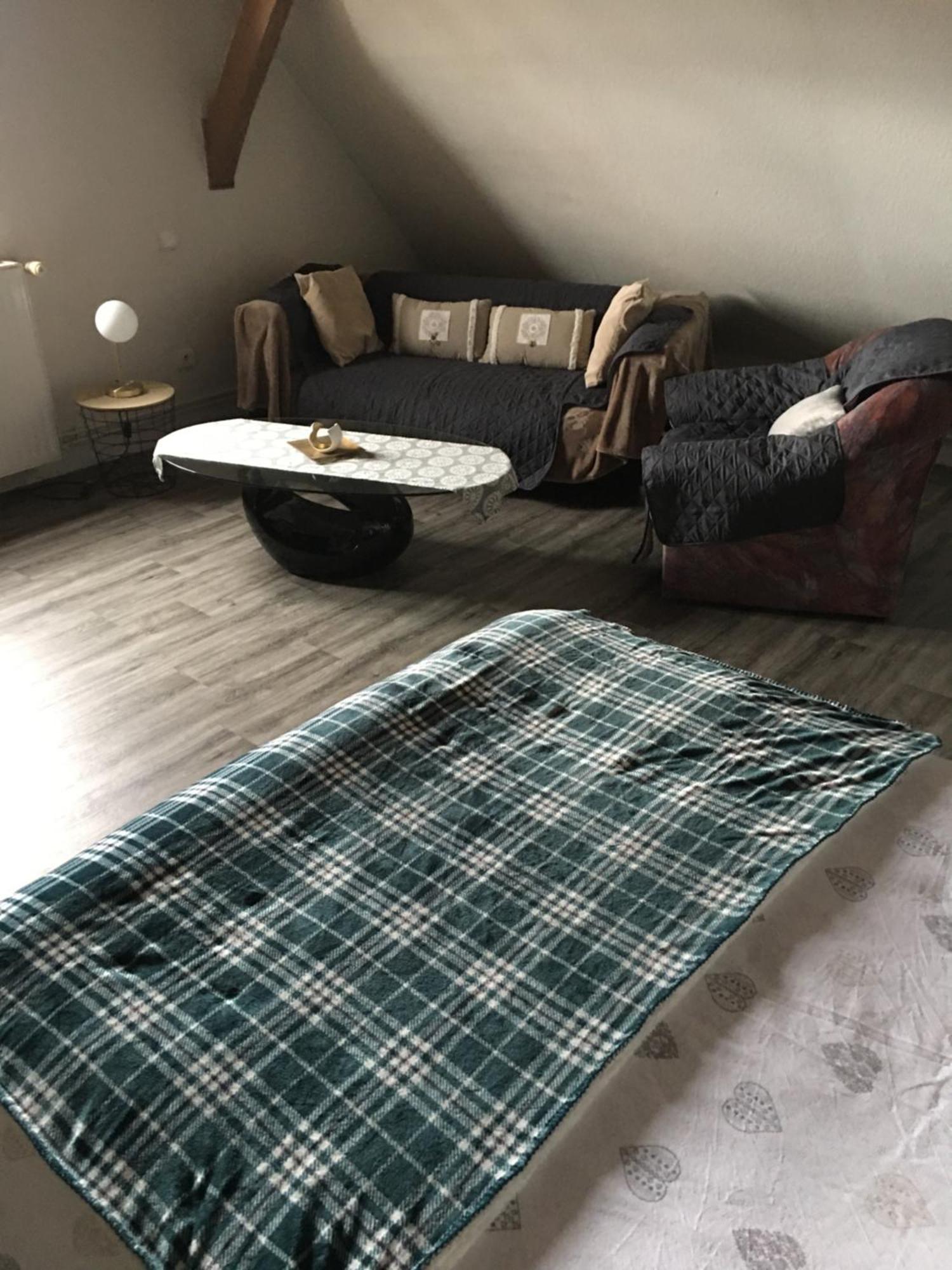 Bienvenue En Alsace Apartment Huttenheim Екстериор снимка