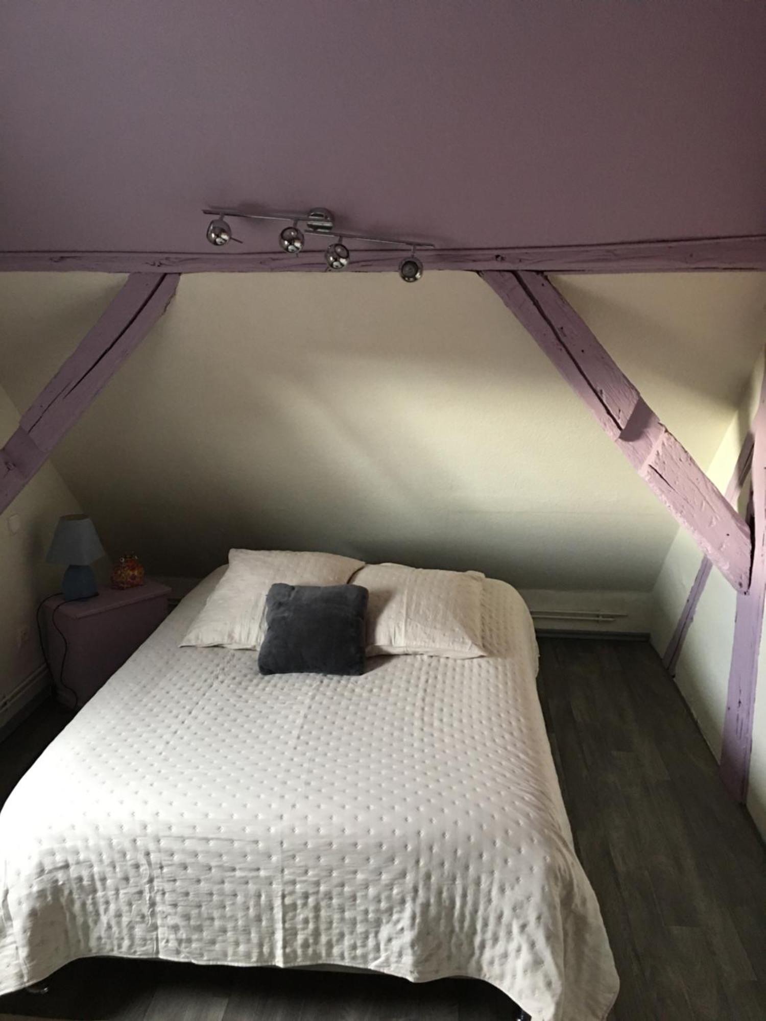 Bienvenue En Alsace Apartment Huttenheim Екстериор снимка