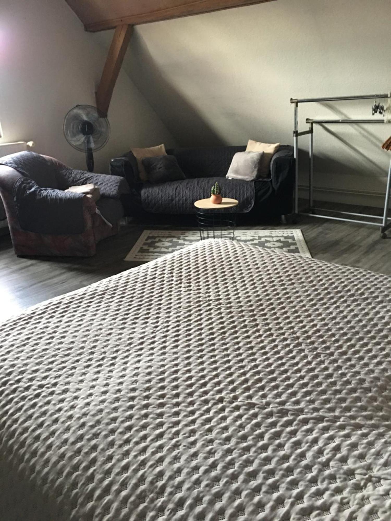 Bienvenue En Alsace Apartment Huttenheim Екстериор снимка